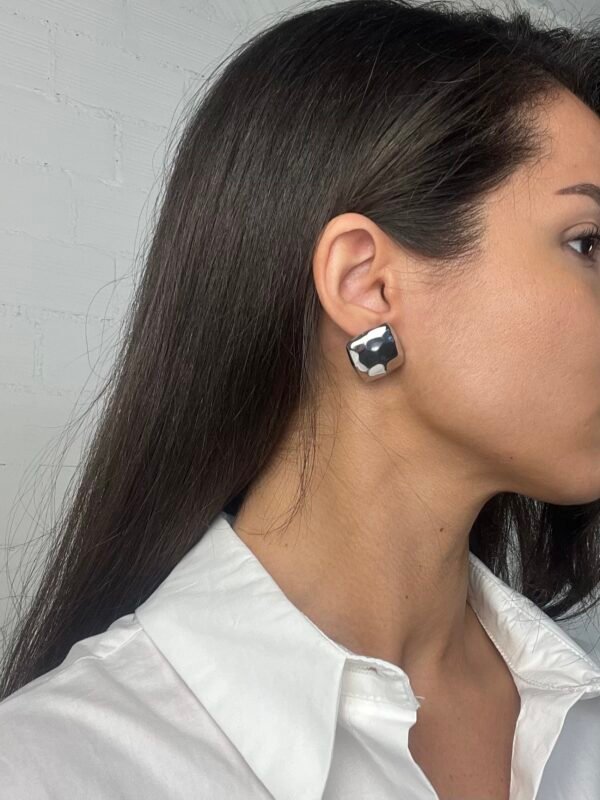 IMG_6918 Fay silver earring