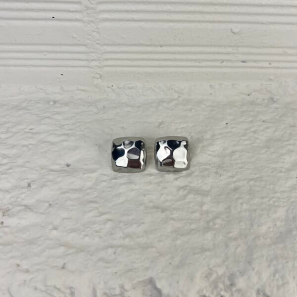 IMG_7007 Fay silver earring