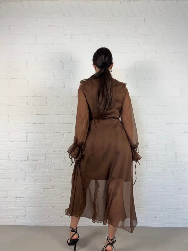 IMG_7185 (1) Ruffle sheer dress
