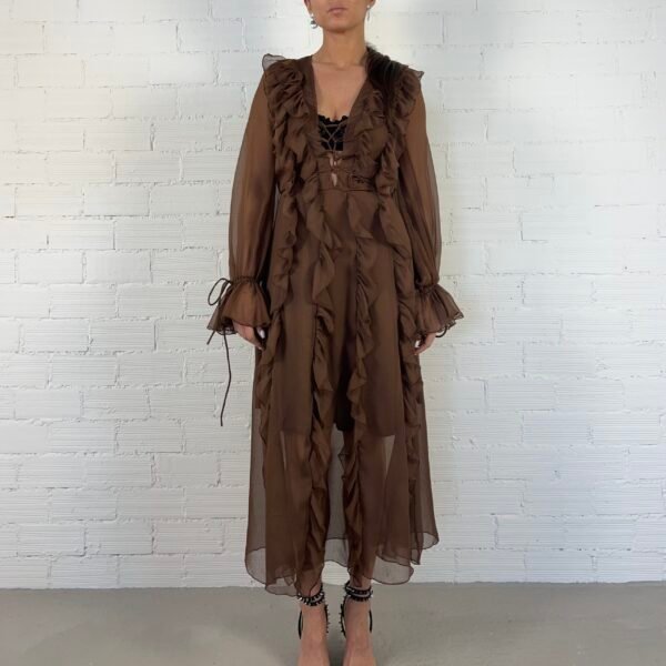 IMG_7237 Ruffle sheer dress
