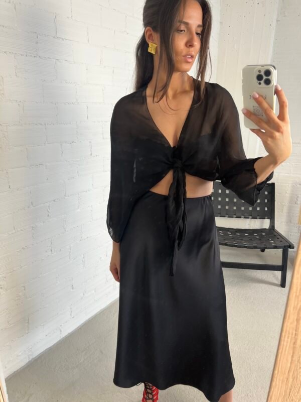 IMG_1235 Silk mesh black top